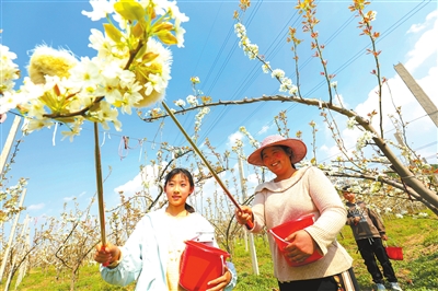 《中国教育报》：春假沐光 拔节生长