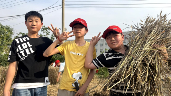 “穗”迎六一 “麦”动童心