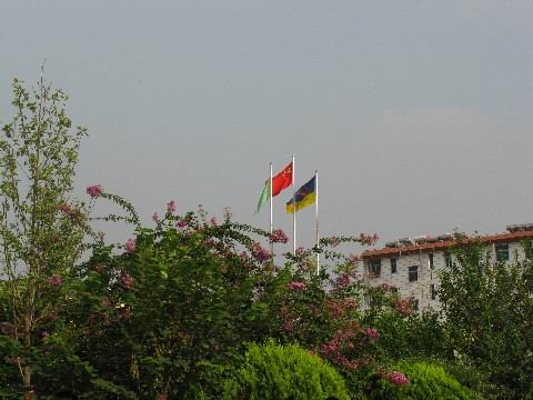 03.jpg